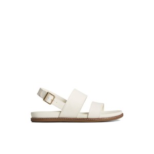 Sperry Waveside PLUSHWAVE Backstrap Sandal Sandalen Damen Beige | 60GJECWIO